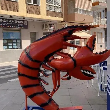 Eb By Zanis Torrevieja